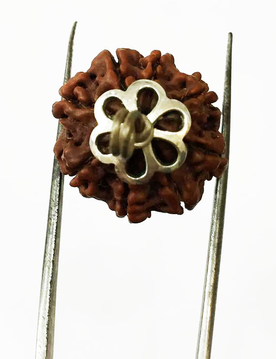 8 Mukhi Nepali Rudraksha Silver (Chandi) Pendant